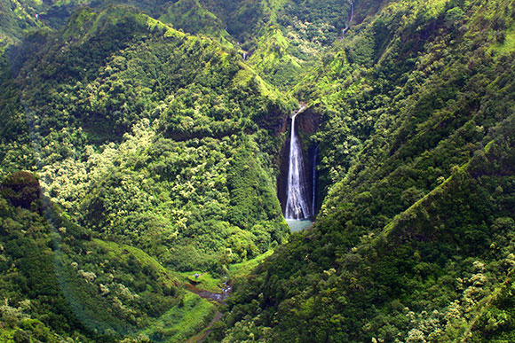 Photo: Lacy Varner/Hawaii.com